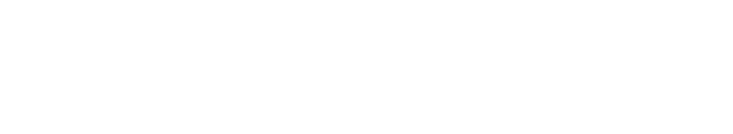 CerebrumX