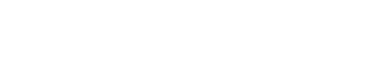 Forge Nano